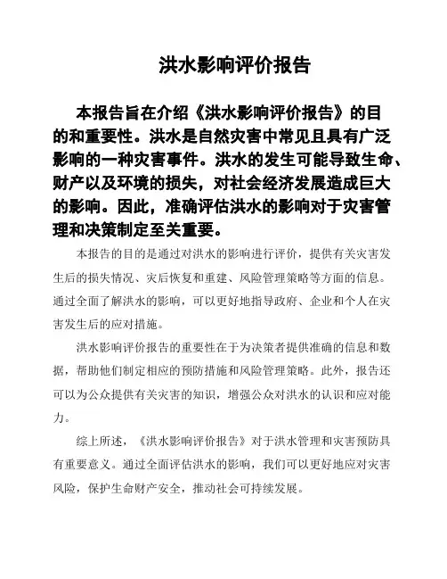 洪水影响评价报告