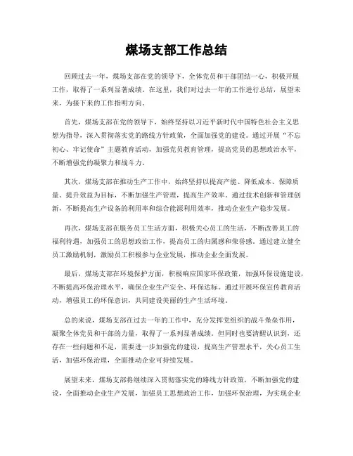 煤场支部工作总结