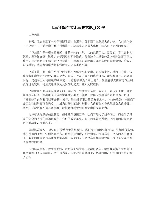 【三年级作文】三尊大炮_700字