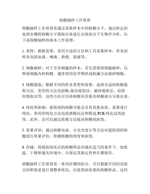 核酸抽样工作原理