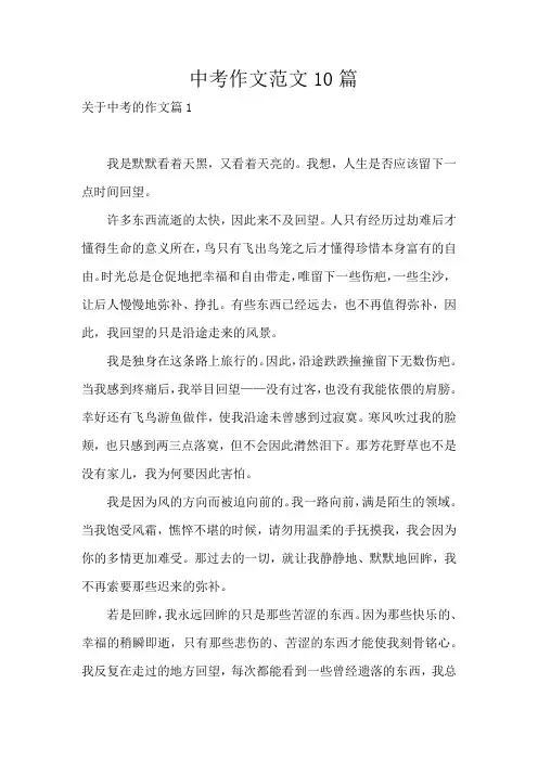 中考作文范文10篇