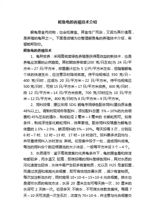 鳄鱼龟的养殖技术介绍