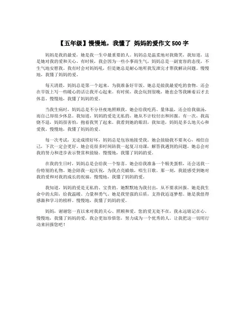 【五年级】慢慢地,我懂了 妈妈的爱作文500字