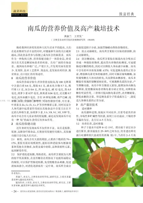 南瓜的营养价值及高产栽培技术