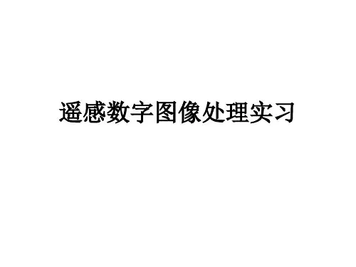 遥感数字图像处理PPT课件
