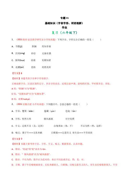 专题01 基础知识(字音字形、词语理解)作业(解析版)
