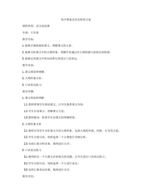 初中教案及作业检查方案