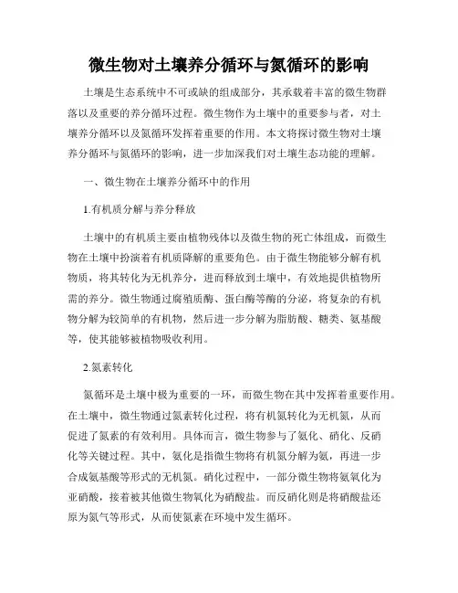 微生物对土壤养分循环与氮循环的影响