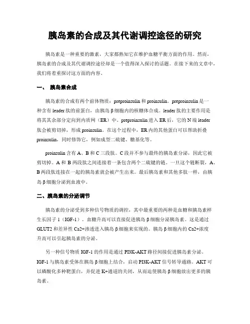 胰岛素的合成及其代谢调控途径的研究