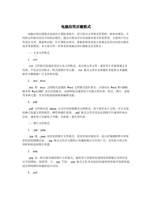 电脑应用后缀格式