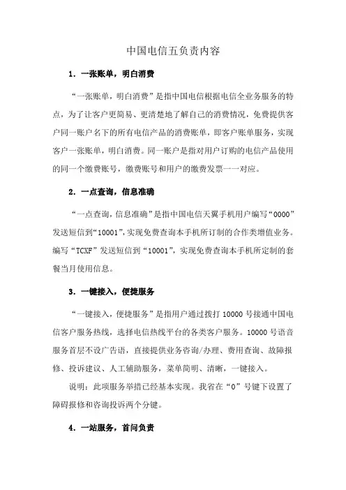 中国电信五负责内容