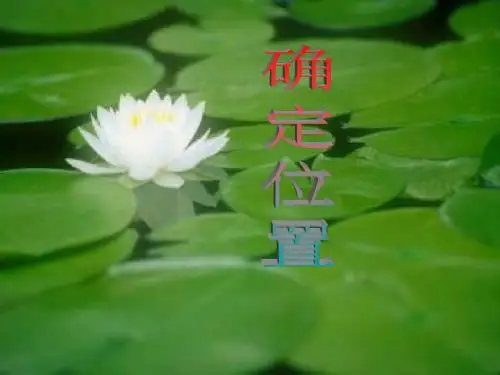 北师大版七年级初一数学上册 5.1确定位置 6
