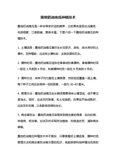 露地奶油南瓜种植技术