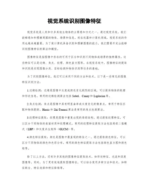 视觉系统识别图像特征