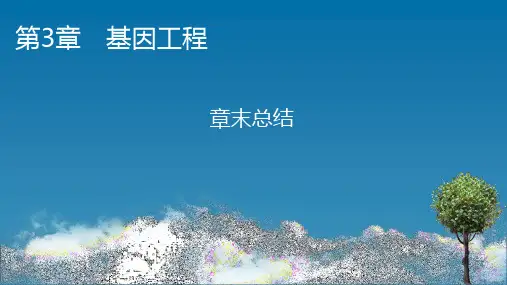 人教版高中生物选择性必修第3册 第3章 基因工程 章末总结3