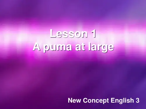 新概念英语第三册-Lesson-1-教学课件