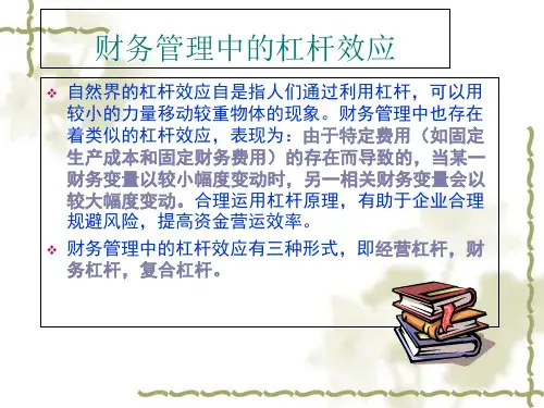 杠杆效应与资本结构概述