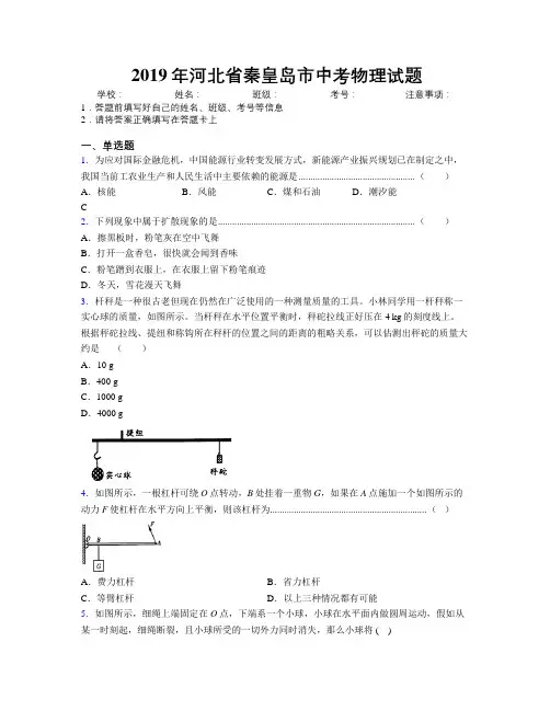 2019年河北省秦皇岛市中考物理试题附解析