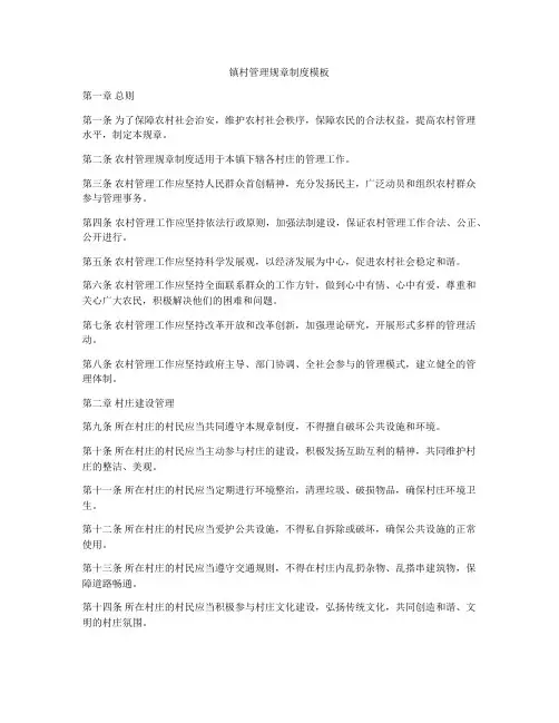 镇村管理规章制度模板