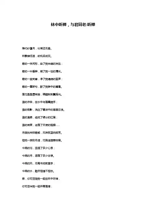 林中听禅,与君同老-听禅