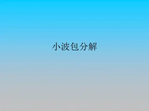 小波包分解PPT课件讲义