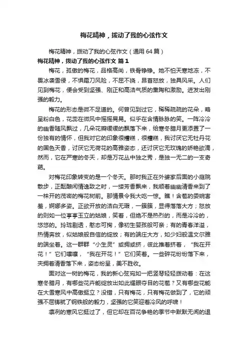 梅花精神，拨动了我的心弦作文（通用64篇）