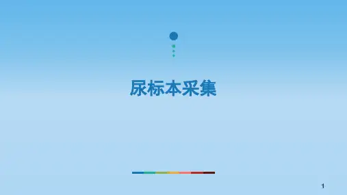 尿标本采集ppt课件