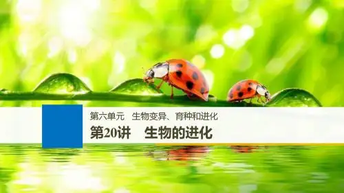 2019版高考生物一轮浙江选考总复习课件：第六单元 生物变异、育种和进化 第20讲