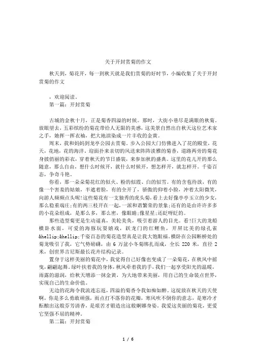 关于开封赏菊的作文