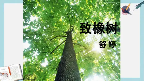 语文版中职语文(基础模块)下册第17课《致橡树》ppt课件2