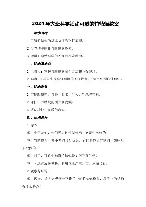 2024年大班科学活动可爱的竹蜻蜓教案