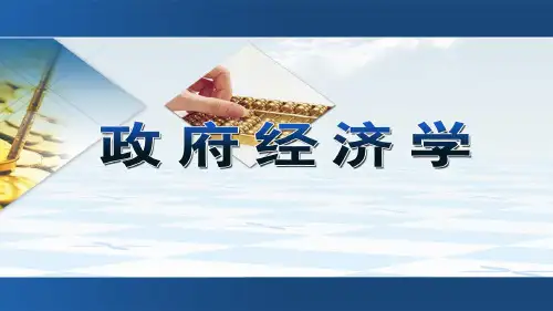 第4章政府行为理论