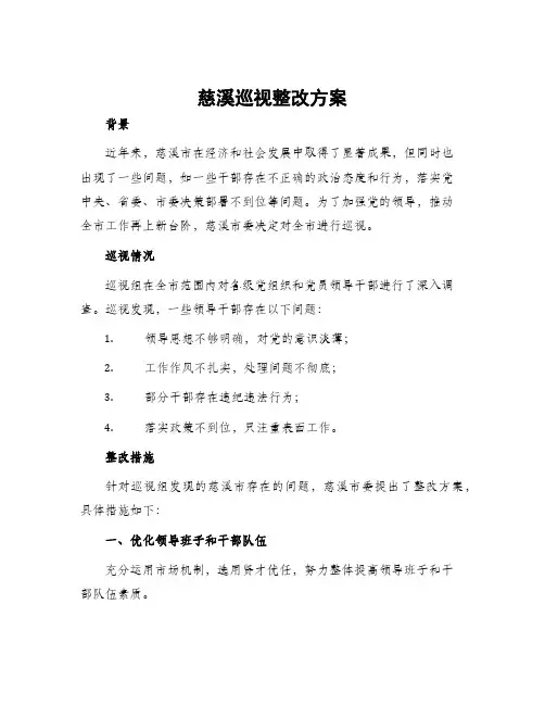 慈溪巡视整改方案