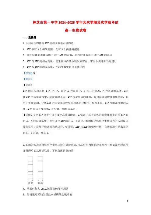 西藏林芝一中2024_2025学年高一生物下学期期末考试试题含解析