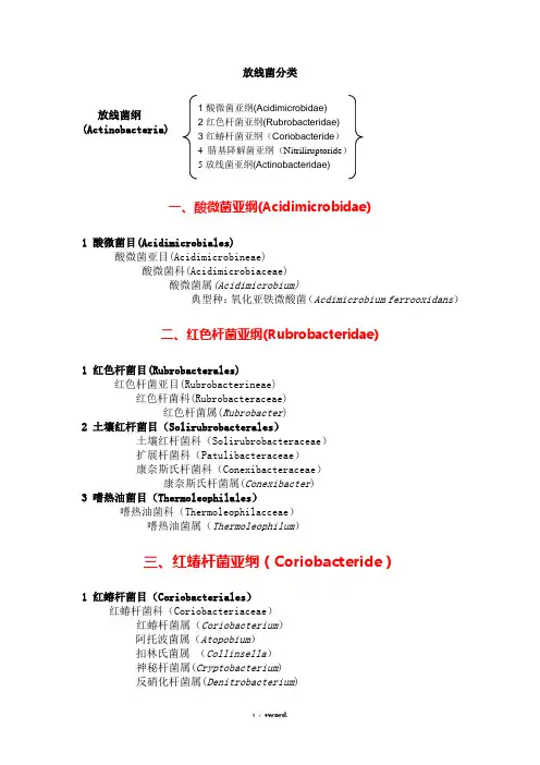 放线菌分类-完整精选.