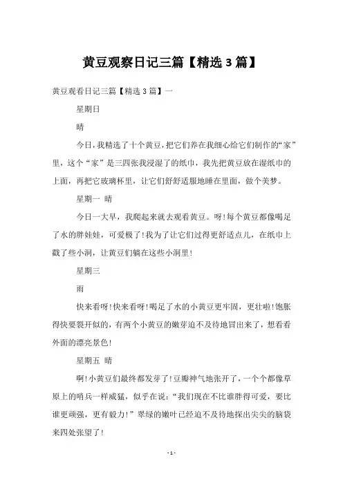 黄豆观察日记三篇【3篇】