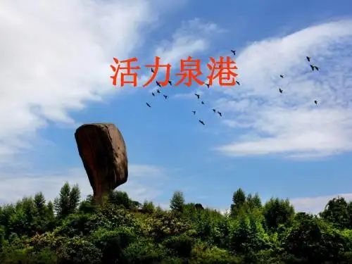 活力泉港