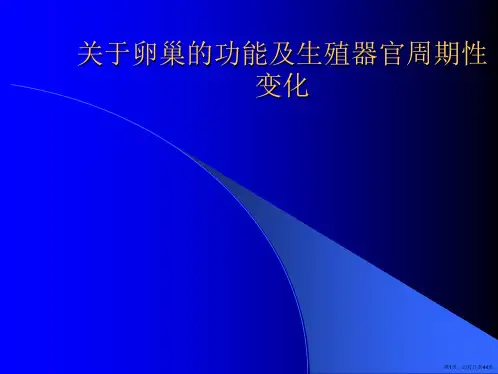 卵巢的功能及生殖器官周期性变化课件