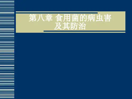 第八章 食用菌的病虫害防治PPT课件