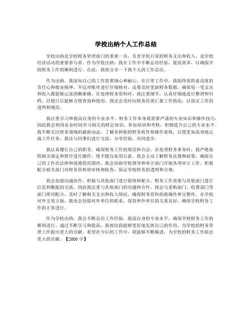 学校出纳个人工作总结