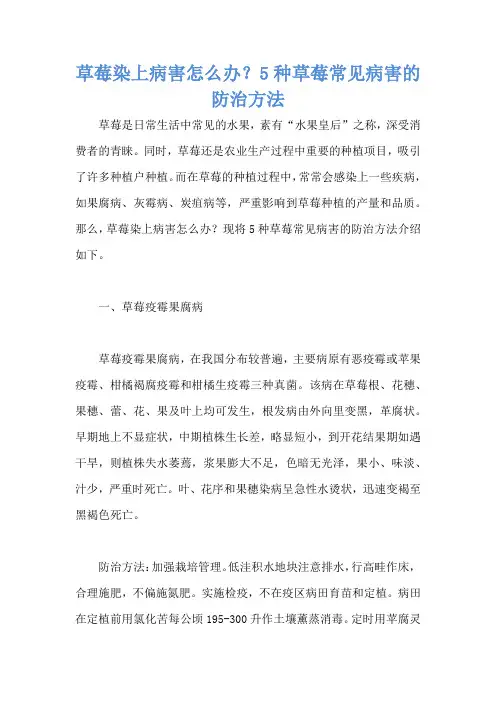 草莓染上病害怎么办？5种草莓常见病害的防治方法