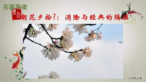 部编人教版七年级上册语文《名著导读：朝花夕拾》课件