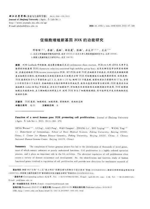 促细胞增殖新基因TOX的功能研究