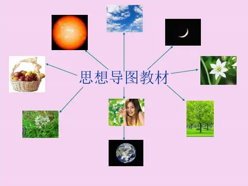 《思维导图教材》PPT课件