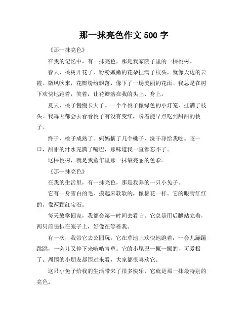 那一抹亮色作文500字