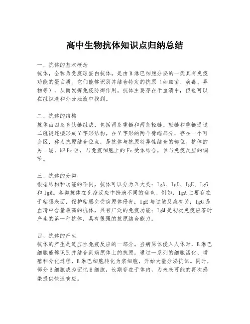 高中生物抗体知识点归纳总结
