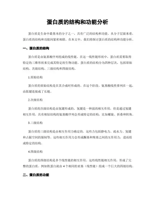 蛋白质的结构和功能分析