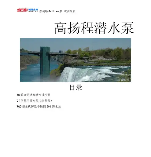 高扬程潜水泵