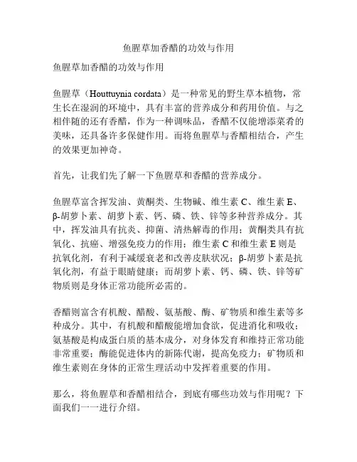 鱼腥草加香醋的功效与作用