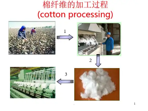 常用纺织纤维结构和性能